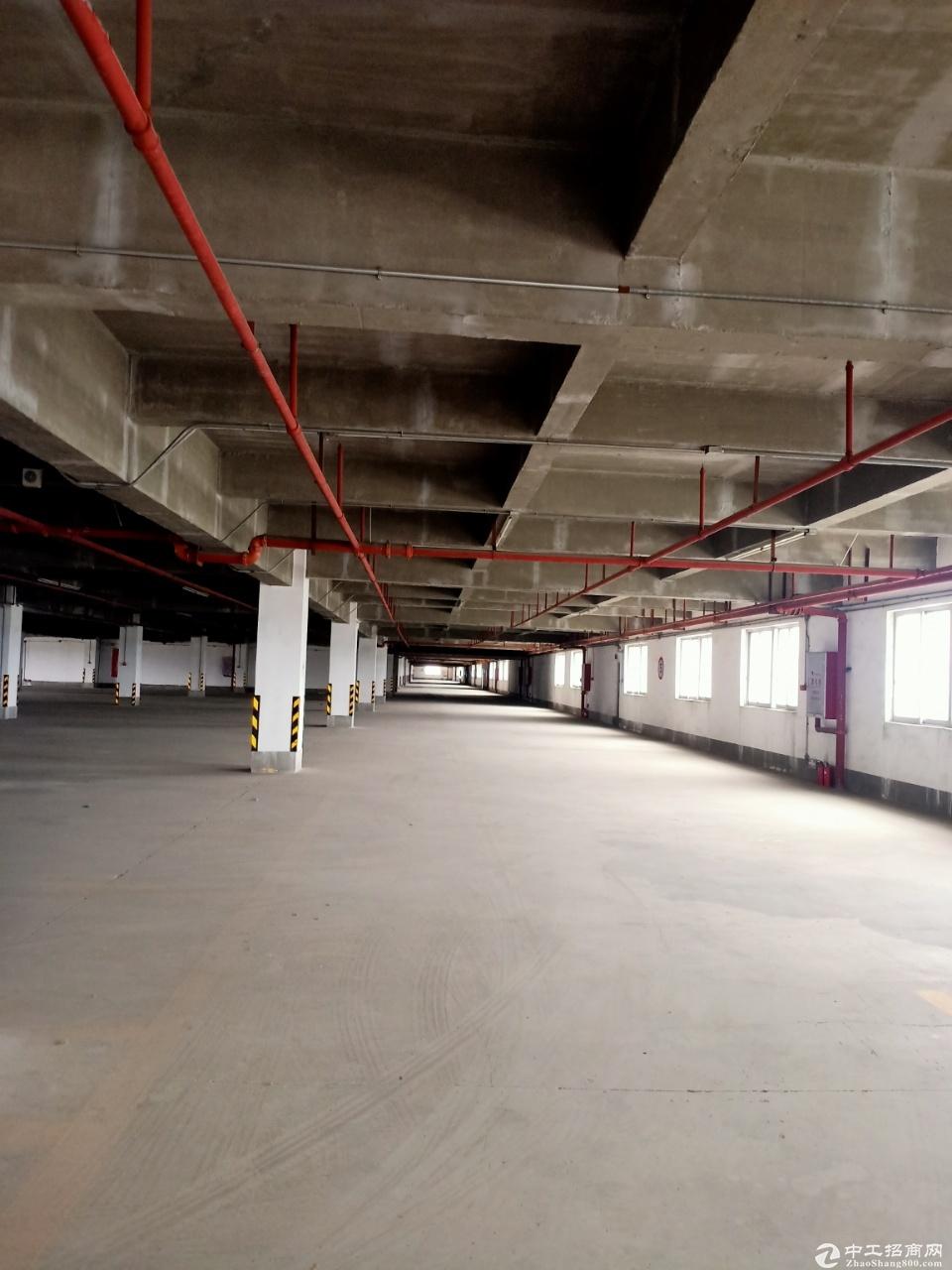 新沙港仓库、适合汽车、电商、物流、食品生产车间
