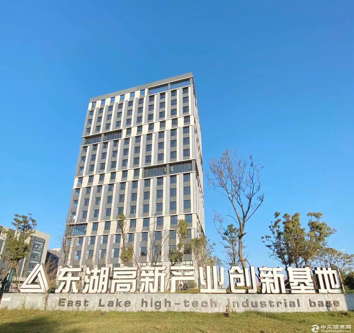 光谷南地铁口东湖高新集团开发标准研发生产厂房