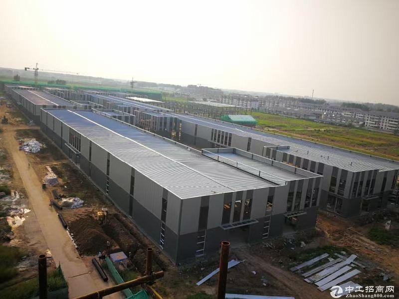 出售徐州港务区北全新单层钢结构厂房 层高12米 可贷款可抵押