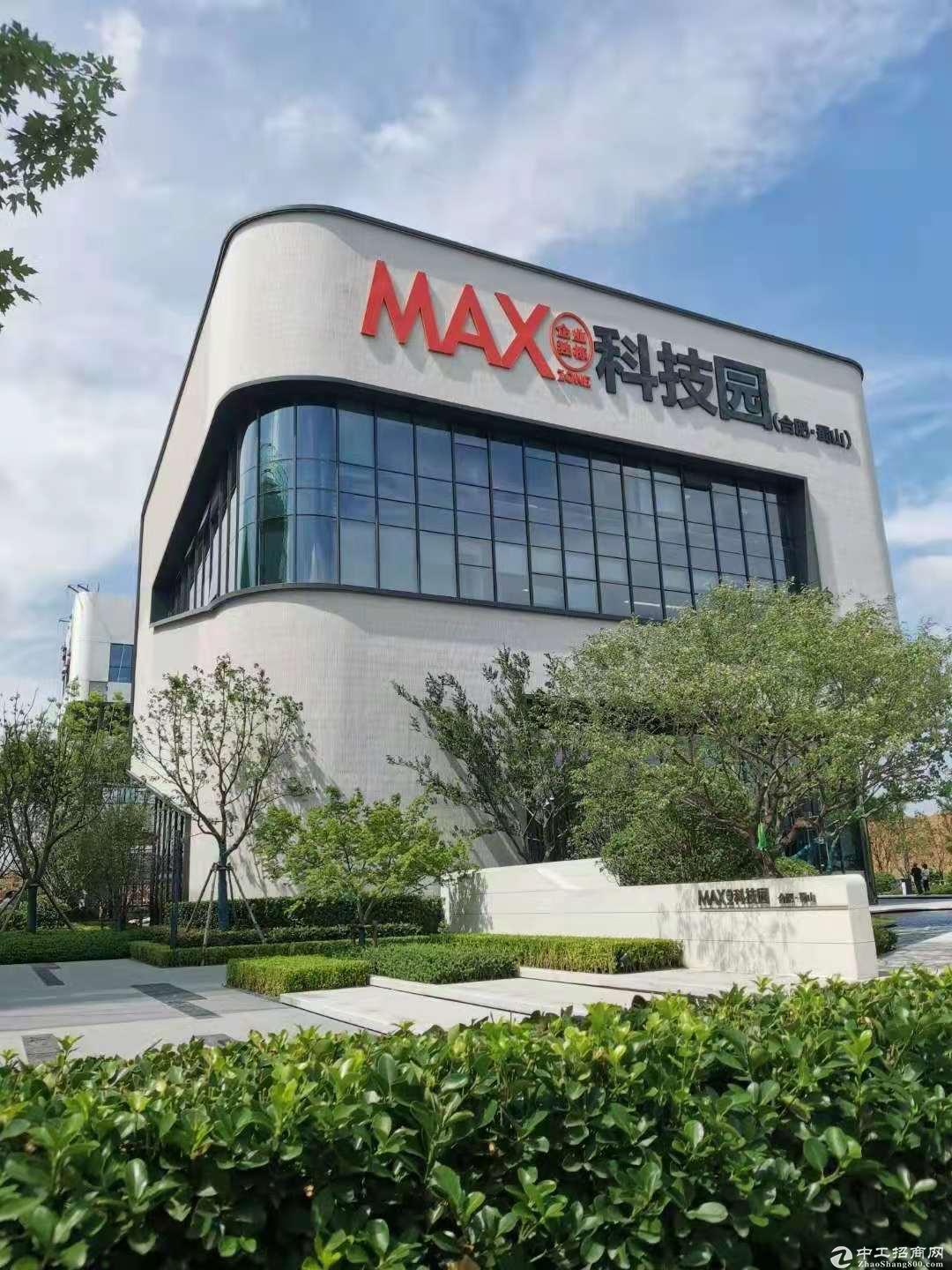 合肥蜀山MAX科技园国家级开发区自贸区花园独栋一企一栋总部办公