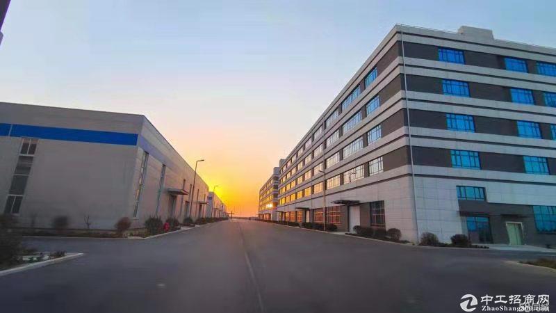 滨州沾化区 产业园标准厂租售  3年免租金 可环评