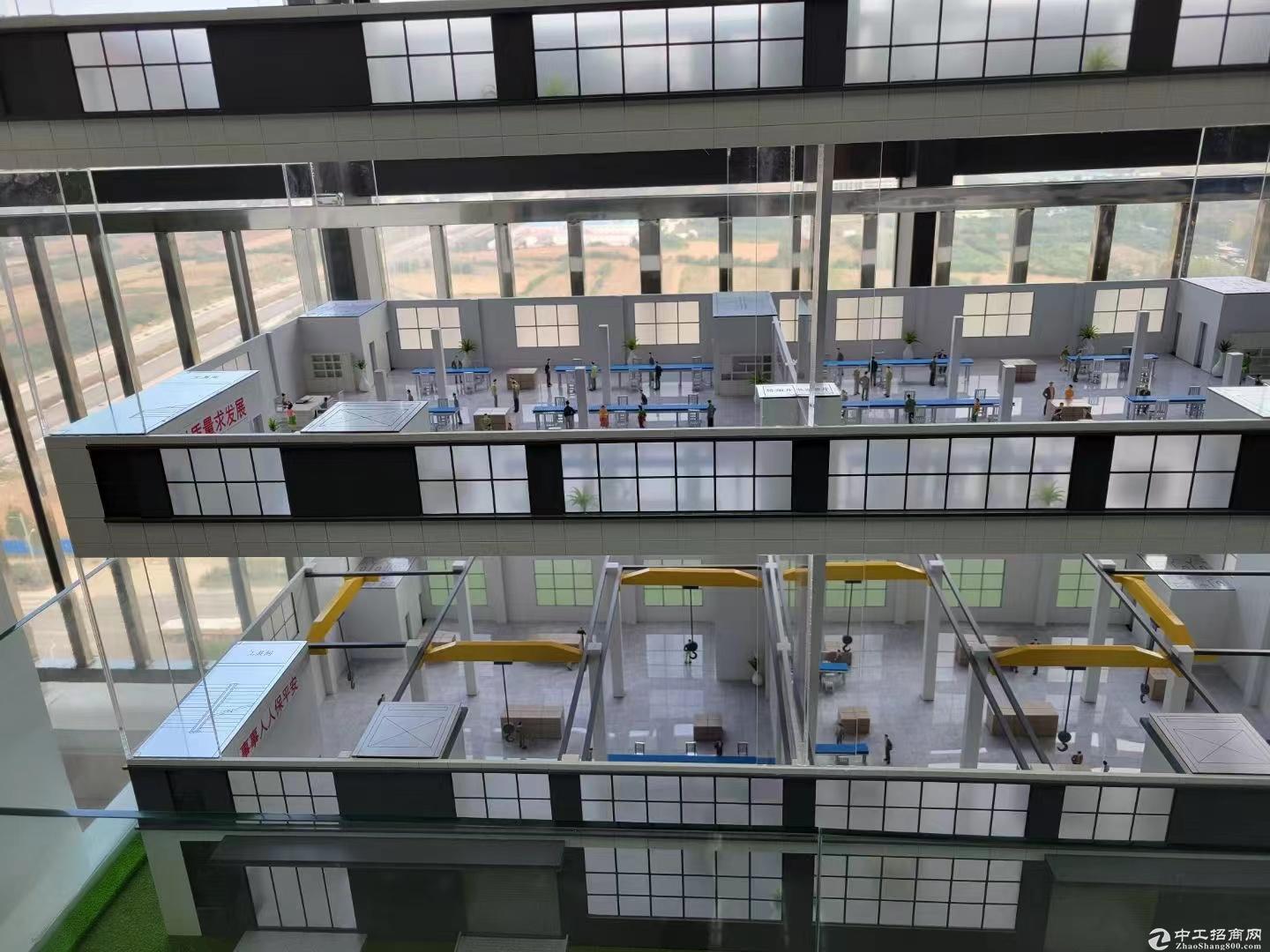 售高新区西四环科学大道标准化厂房，首层8.1m
