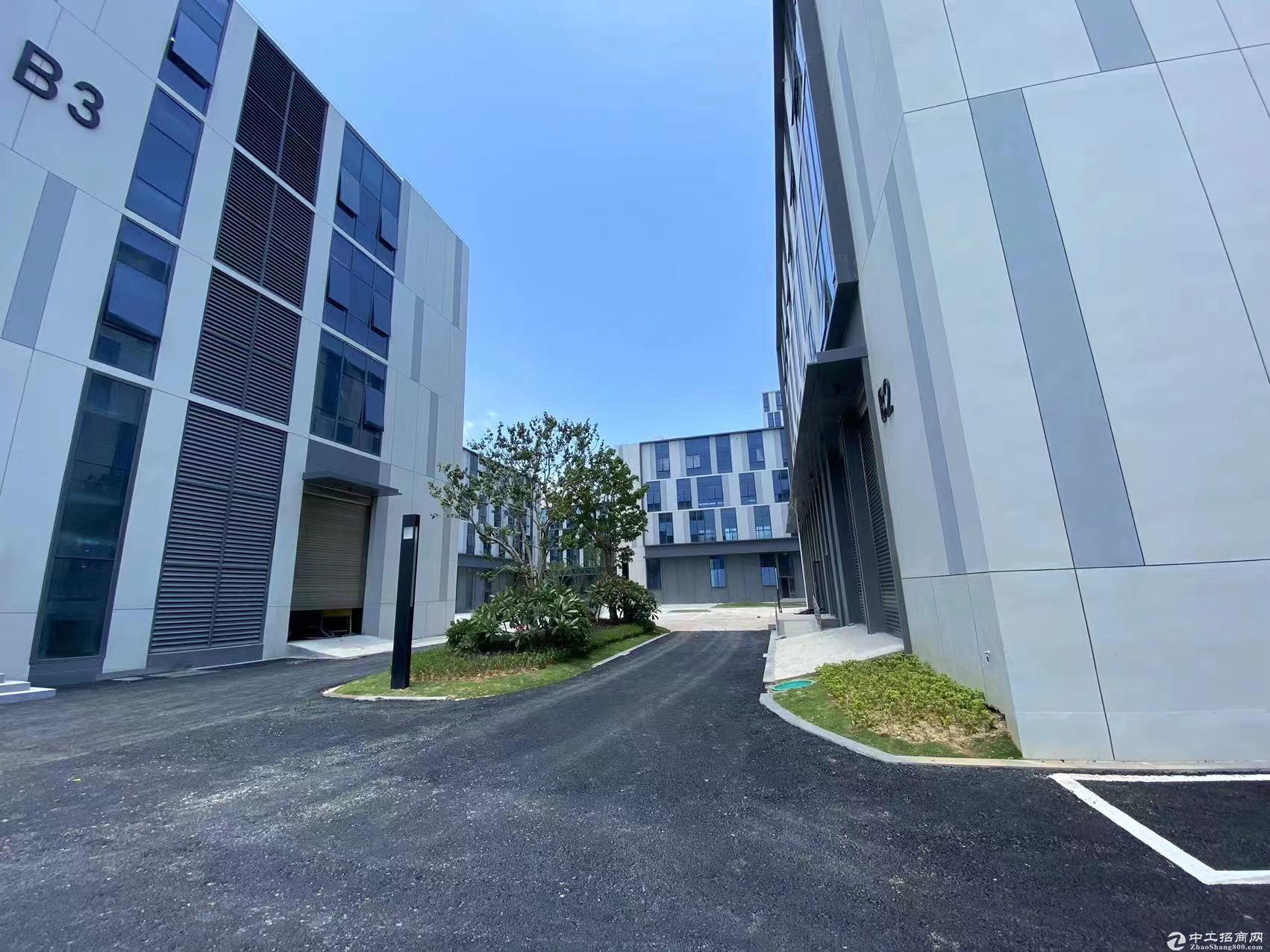 （出售）滨海独栋全新厂房 可分层 办公生产研发一体式
