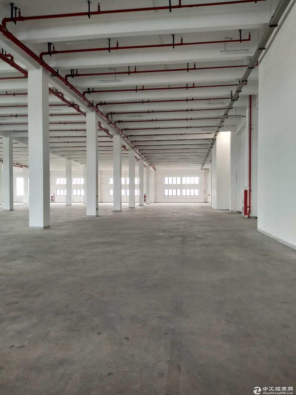 浦东保税区纯一楼层高9米可做试验研发等行业 房东直接出租