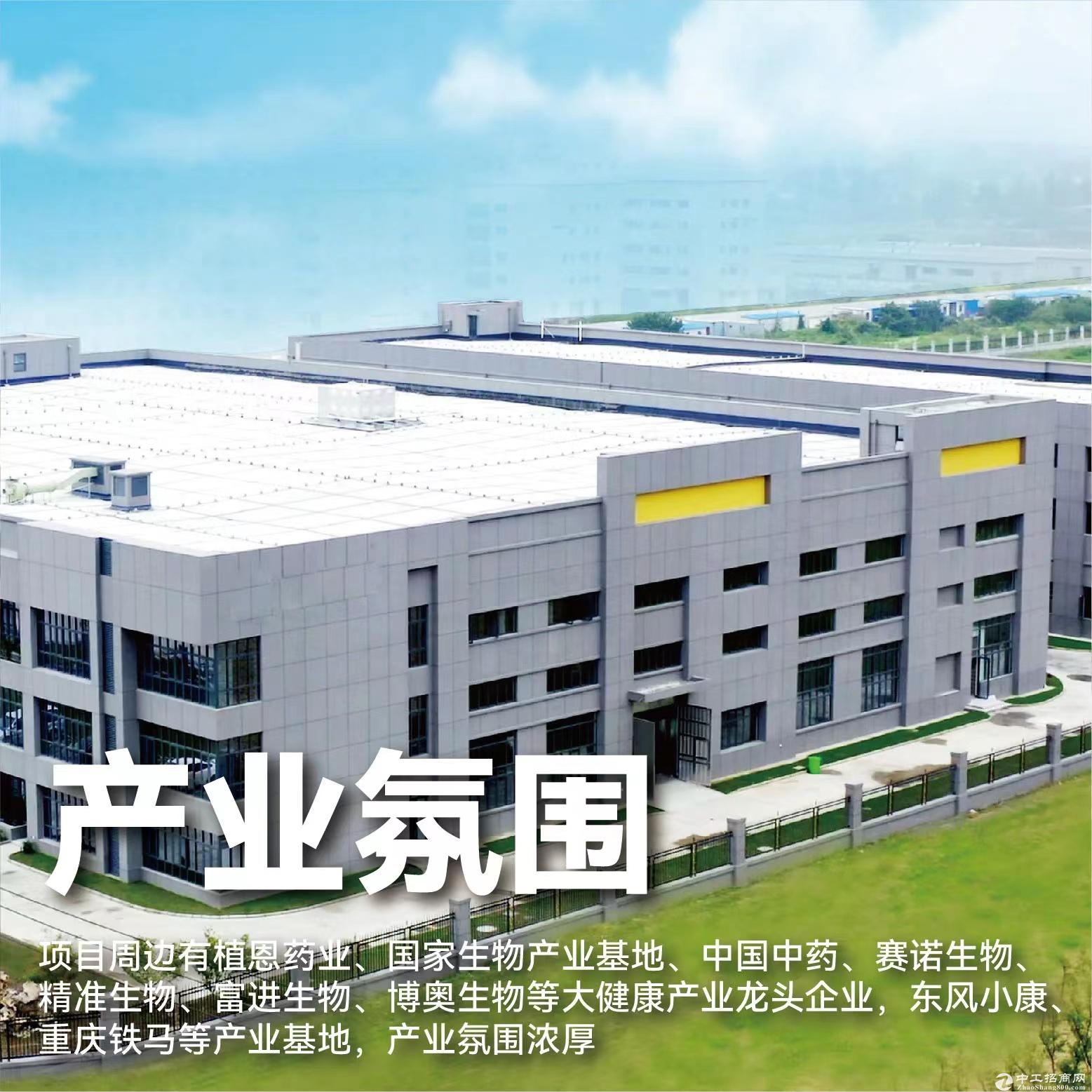 重庆科学城 标准厂房 今年接房 空高8.1米 产权50年