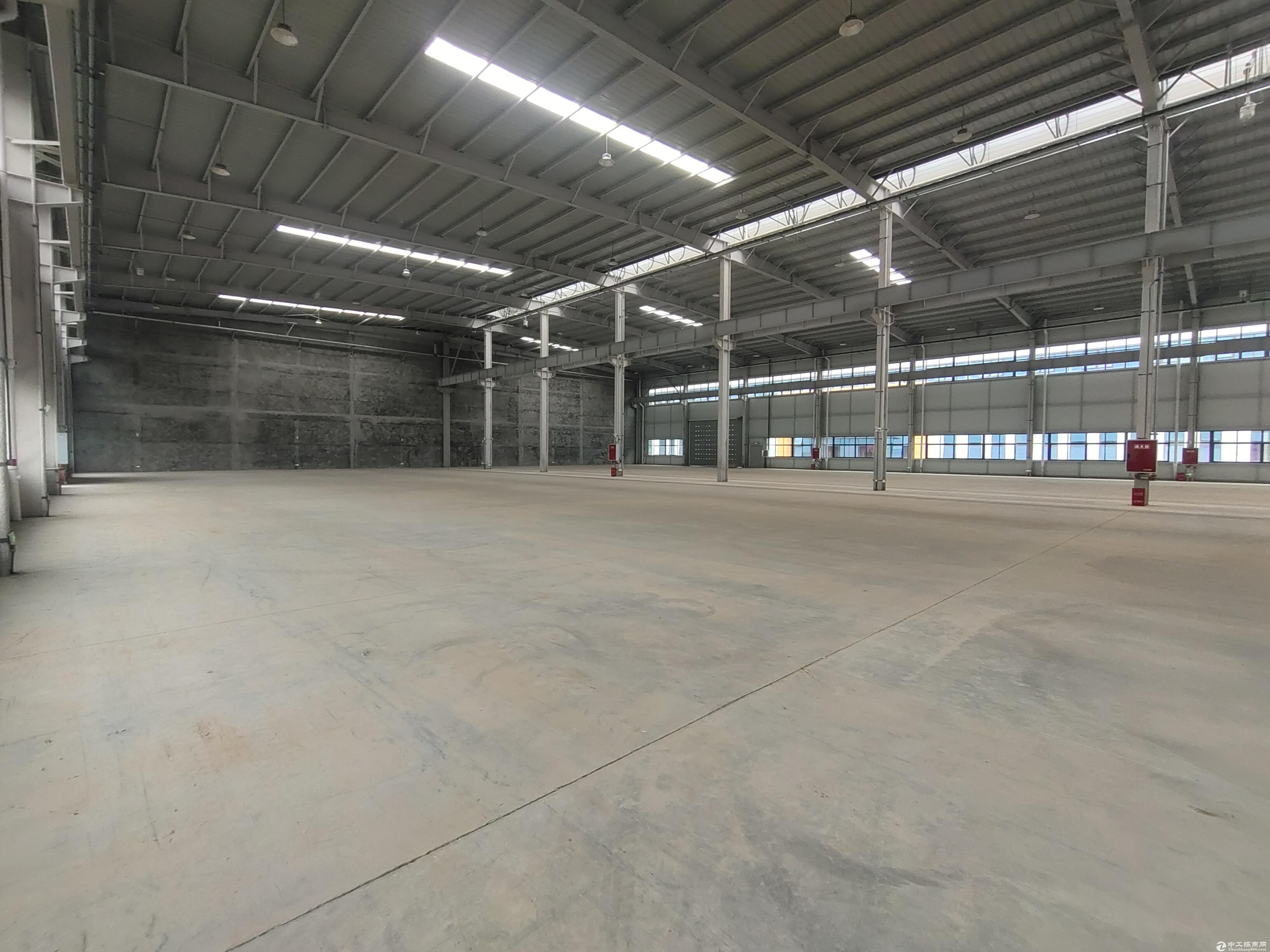 羊安工业园业主直租全新13米单层厂房可分租